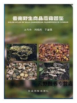 云南野生商品蘑菇图鉴
