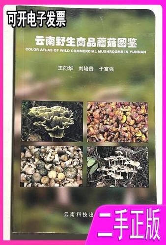 《云南野生商品蘑菇图鉴》——王向华与云南科技出版社的匠心之作